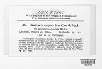 Image Associated With the Occurence